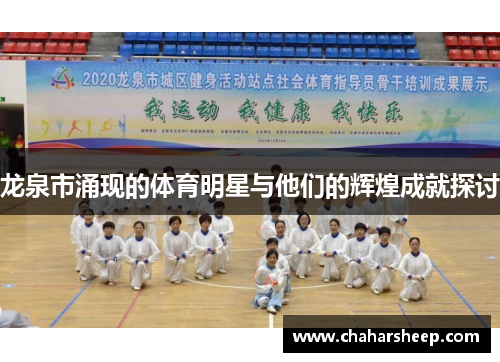 龙泉市涌现的体育明星与他们的辉煌成就探讨